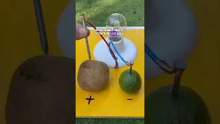 Como transformar uma batata 🥔 e limão 🍋 em energia 😱👏 #energia #diy #tools #dicas #shorts