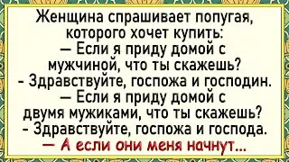 Даже попугай офигел от этого! Сборник свежих анекдотов!
