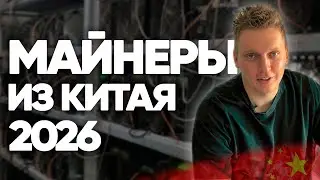 Майнеры 2024