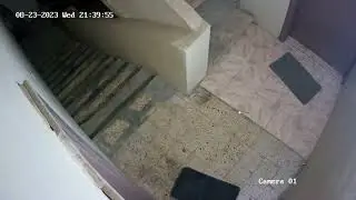 How to Record Hikvision IP camera Without  NVR to your computer