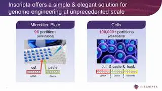 Massively Parallel Genome Engineering followed by pooled growth selections for rapid target discover