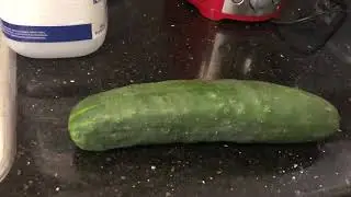 I cut cucumber ( parody )