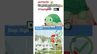 Neuro’s Captcha Solving Abilities