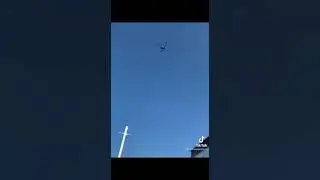 доставил бутылку коньяка