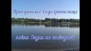 Правдинское водохранилище ( ловля окуня на отводной )