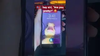 🗣📱 hey siri, “Are you pretty?” 😍