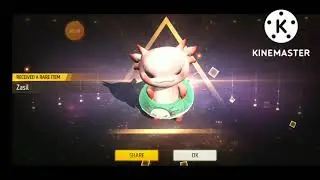 zasil pet crate opening😱😊
