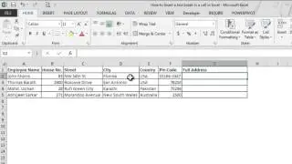 How to insert a line break in the same cell in Excel