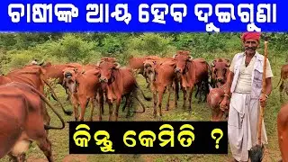 ଚାଷୀଙ୍କ ଆୟ ହେବ ଦୁଇଗୁଣା || How can farmers' income be doubled? @EfarmingOdisha