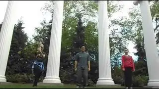 MyHuskyStory