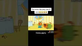 три кота и их дядя кек (видео не моё) :)