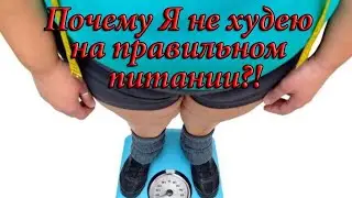 КИЛЛ ЖИР! День 15! Почему я не худею на правильном питании?