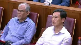 2019/03/08 COS 2019 debate   Day 7 Tan Chuan Jin rounds up Budget, Committee of Supply debate
