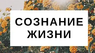 Сознание ЖИЗНИ. Мысли и восприятие мира Новым Творением.23.02.20