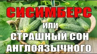 Сисимберс, или страшный сон англоязычного человека