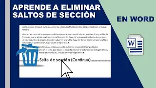 Como eliminar esas secciones en tu documento de word