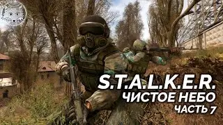 S.T.A L.K.E.R.: Чистое небо #7 🦊 Рыжий лес