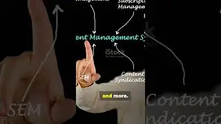 Adobe Experience Manager (AEM) Basics | Training for Beginners