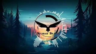 Alan walker Type Beat