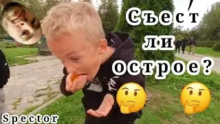 Стрим 39 (Съест ли самое острое в городе целиком)