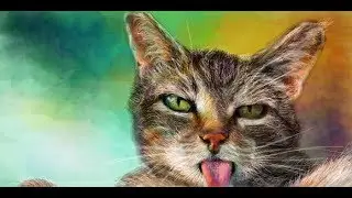 Кот Эйнштейн | Nraffiti | Граффити ВКонтакте