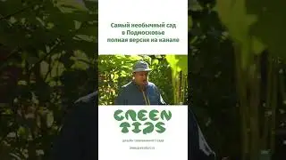 Субтропические растения