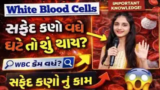 સફેદ રક્તકણો વધે કે ઘટે તો શું થાય? | White Blood Cells Work Explained | Health Knowledge