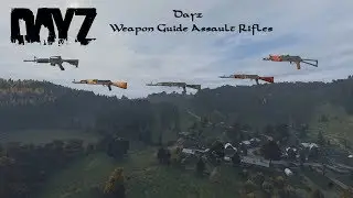 Dayz  : Weapons Guide : Assault Rifles