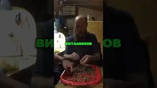 Гениальные вопросы: Молодежные Дискуссии и Их Перспективы