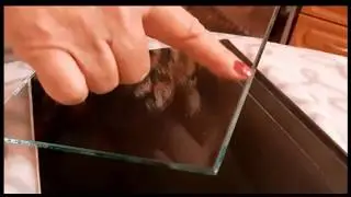 Как использовать #телефон для #подготовки #документов / #МСО #РСФСР