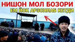 КОЙ АРЗОН ЭКАН! НИШОН МОЛ БОЗОРИ НАРХЛАРИ 2022 NISHON MOL BOZORI NARXLARI