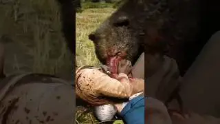 RDT2 Король и Шут медведь