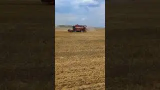 Уборка урожая зерновых 2021
