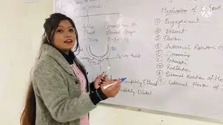 Stages of Labour || Obstetrics- Stages of Normal Labour || Nursing Lecture