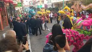 Dragon celebration - San Francisco Chinatown