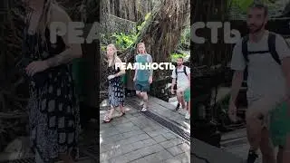 Ожидание - Реальность. Главное - куда направлено внимание