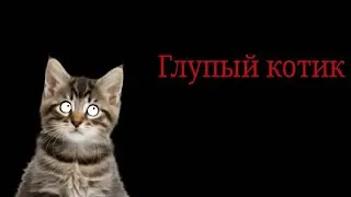 Глупый котик часть 1 @cooldadru