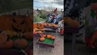Spooky visit to trentham gardens to their enchanted pumpkin patch 🎃 