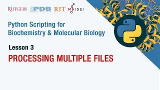Processing Multiple Files