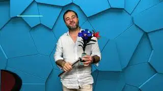 Vela em flor