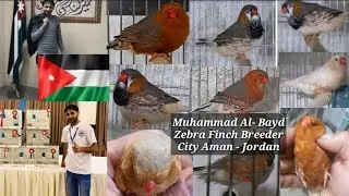 Muhammad Al-Bayad | Zebra Finch Breeder From Jordan City Amman@abdulbasitabofficial3625