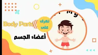 أعضاء الجسم | body part باللغة الانجليزية