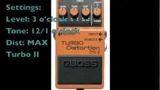 Dani California - Boss DS-2 (test)