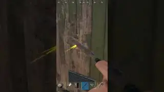 #rust