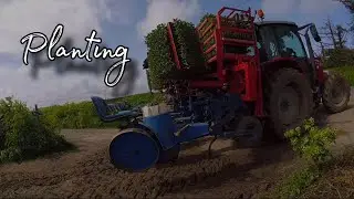 Planting - посадка 🌱