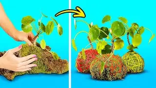 Awesome Gardening Hacks And Easy Tips To Grow Plants