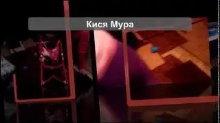 Котенок каскадер | Kitten stuntman