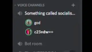 Meanwhile, in voice chat...