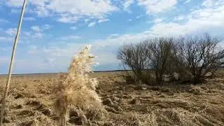 По весне на озере