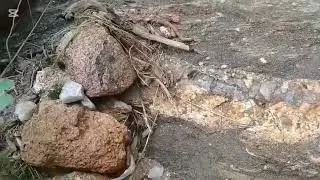 saiba porque você não encontra ouro🥇 na sua região